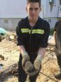 Foto: FF Ebenfurth 20140917_tierrettung_ebenfurth_004