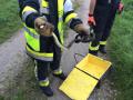 Foto: FF Ebenfurth 20140917_tierrettung_ebenfurth_1_001