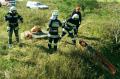 Foto: Norbert Stangl 20141012_gfue_theresienfeld_021