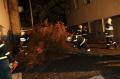 Foto: Presseteam FF Wr. Neustadt 20141104_sturmeinsatz_wrn_009