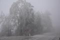 Foto: Einsatzdoku.at 20141202_hohe_wand_edoku_009