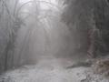 Foto: FF Maiersdorf 20141205_hohe_wand_meiersdorf_006