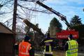 20141221_te_ebenfurth_001