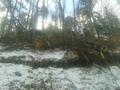 Foto: FF Markt Piesting berichte20140206_khd_einsatz_slowenien_ff_markt_piesting_003