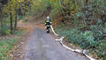 Foto: Thomas Pichler 2015-10-26_gesamtuebung-10_bearbeitet-1