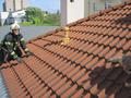 20150518_tierrettung_ff_wrn_002