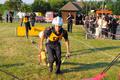 Foto: Norbert Stangl 20150612_bfjlb_in_walpersbach_114
