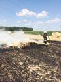 Foto: Presseteam FF Wr. Neustadt 20150722_feldbrand_wrn_001