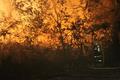Foto: Presseteam FF Wr. Neustadt 20150918_strohbrand_matzendorf_ffwrn_007