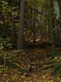 Foto: ASB Ulrike Groll 20151025_uebung_ua1_wr_neustadt_nord_013