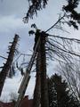 Foto: Presseteam FF Wr. Neustadt 20151130_einsaetze_wrn_016