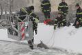 Foto: Presseteam FF Wr. Neustadt 20160123_tierrettung_ffwrn_002
