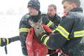 Foto: Presseteam FF Wr. Neustadt 20160123_tierrettung_ffwrn_004