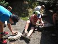 Foto: V Brigitte Krenn / FF Ober- Piesting 20160526_fj-oberpiesting_010