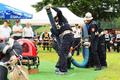 Foto: Norbert Stangl 20160604_aflb_klingfurth_011