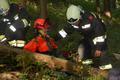 Foto: Franz Gruber MSc/FF Hochwolkersdorf 20161001_uerosenbrunn_053