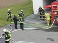 Foto: HBI Raphael Koller 20161016_gfue_theresienfeld_007