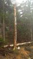 Foto: Michael Zehetner 20161125_sprenguebung_mit_evn_008