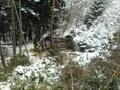 Foto: FF Lichtenegg img-20160118-wa0003