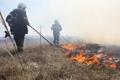 Foto: Presseteam FF Wr. Neustadt 20170331_grossbrand_ff_wrn_007