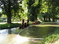 Foto: FF Katzelsdorf 20170610_wasserdienst_katzelsdorf_003