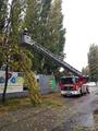 Foto: Presseteam FF Wr. Neustadt 20171029_sturmeinsaetze_wrn_002
