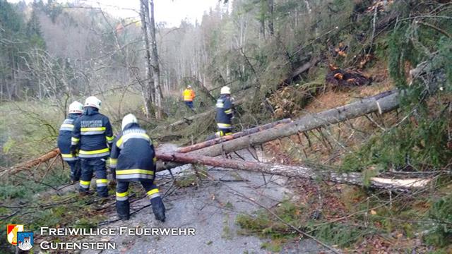 20181030 Sturmeinsätze Gutenstein 004