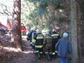 Foto: FF Krumbach 20180418_forstunfall_002