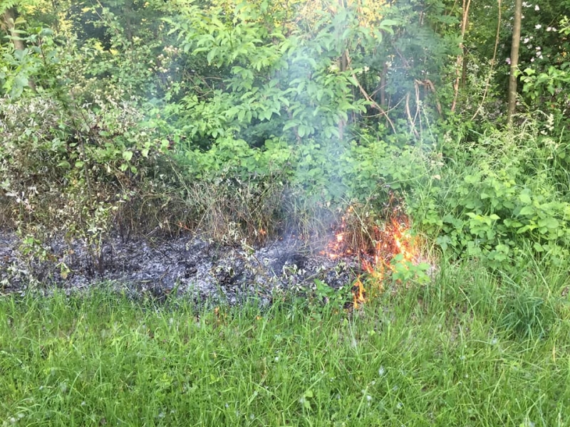 20190604 flurbrand markt piesting 001