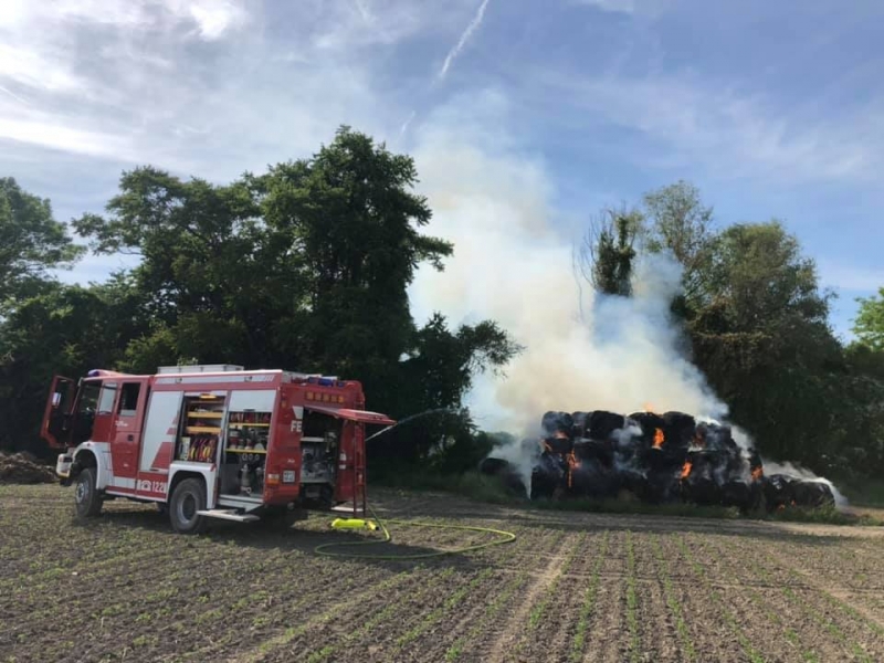 20190609 strohbrand ebenfurth 001