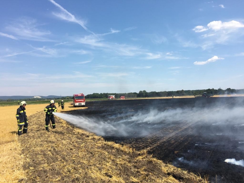 20190720 flurbrand zillingdorf 006