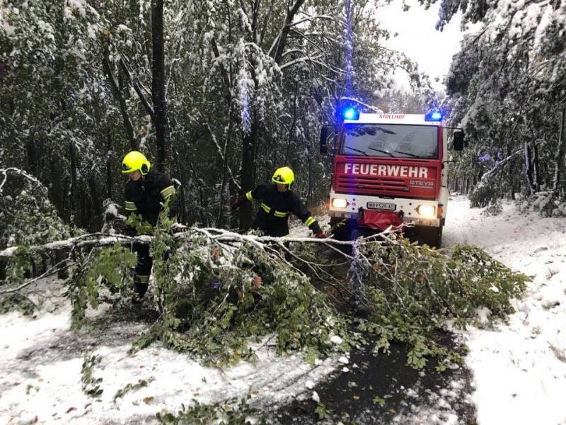 20201012 scheelast einsatz 016