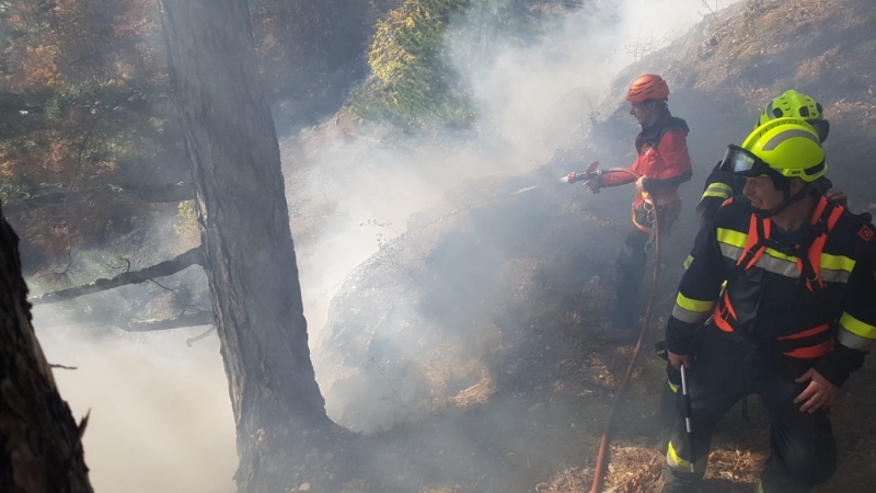 20211106 waldbrandeinsatzsd waldbrand 012