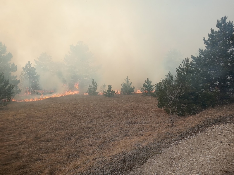 20220309 waldbrand grossmittel 001