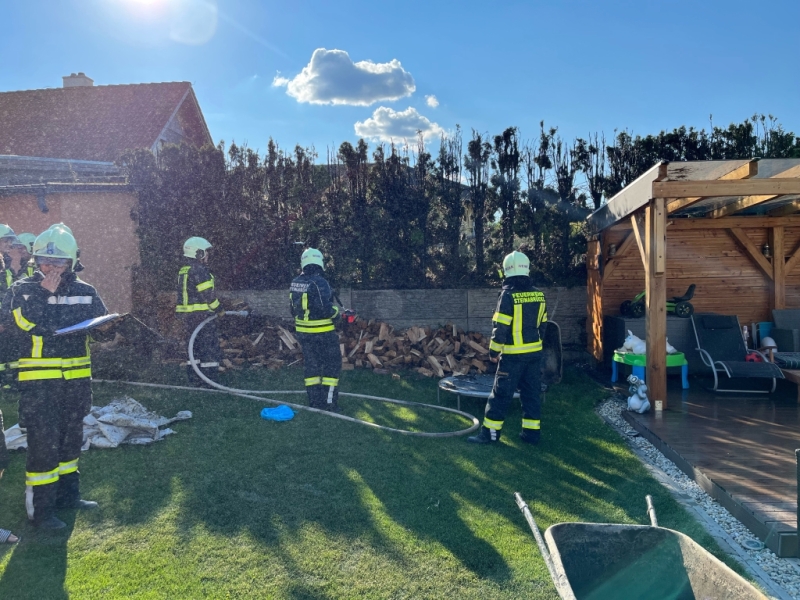 20220816 brand thujenhecke steinabrueckl 003