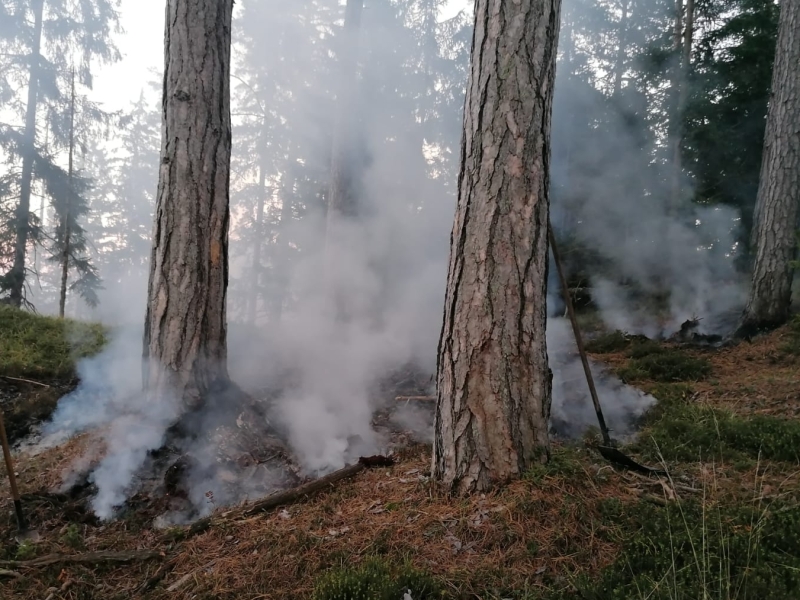 20221004 waldbrand zellenbach 003