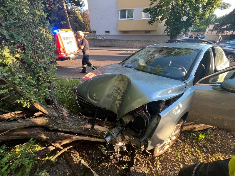 20240617 vu stadtgebiet ffwrn 001