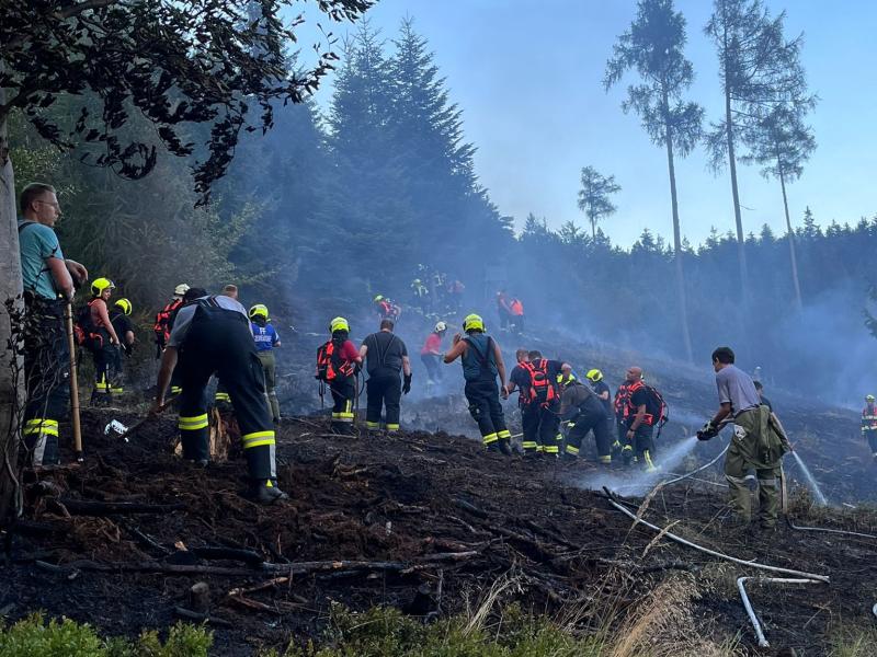 20240716 waldbrand rosalia 001