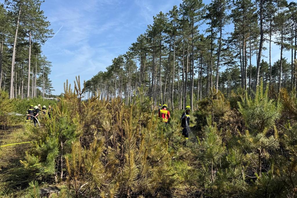 FF Weikersdorf und FF Winzendorf unterstützen beim Waldbrand in St. Egyden am Steinfeld