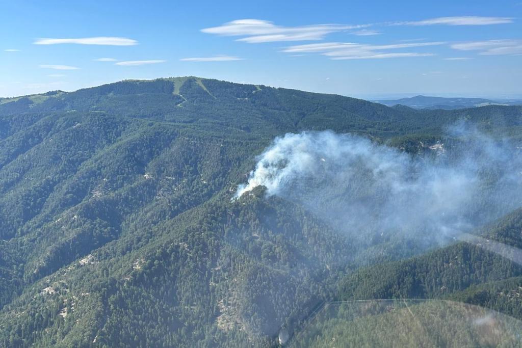 Aktuell: Waldbrand in Gutenstein