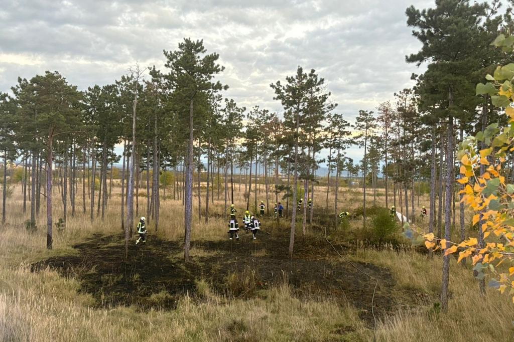 FF Eggendorf: Vegetationsbrand in der Siedlung Maria Theresia - betroffen Waldfläche wird gelöscht