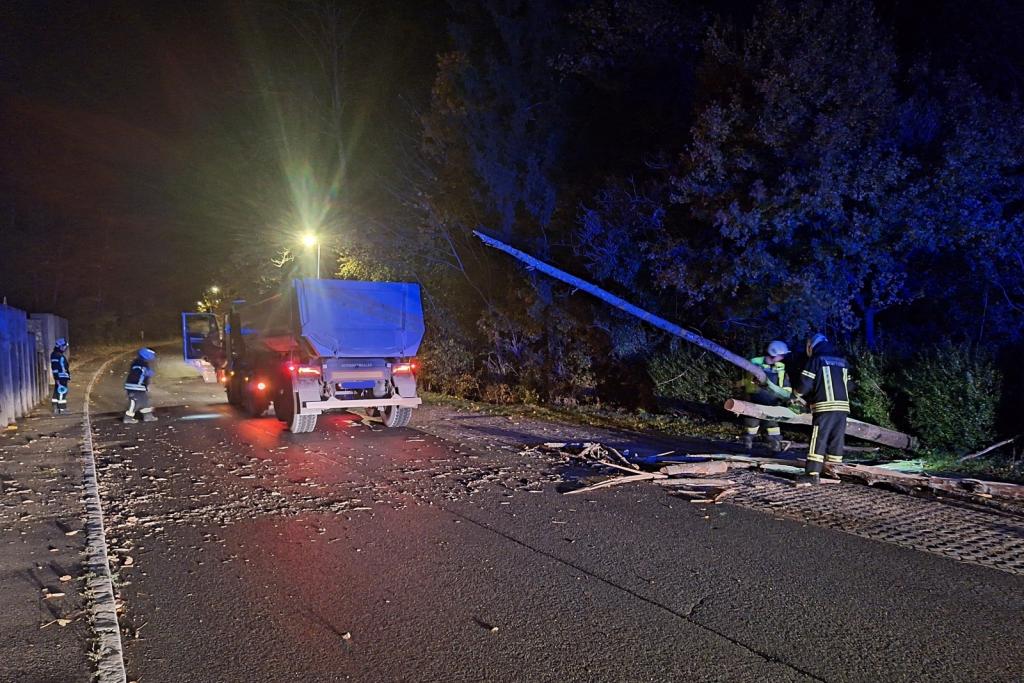 FF Wopfing - Baum auf Straße