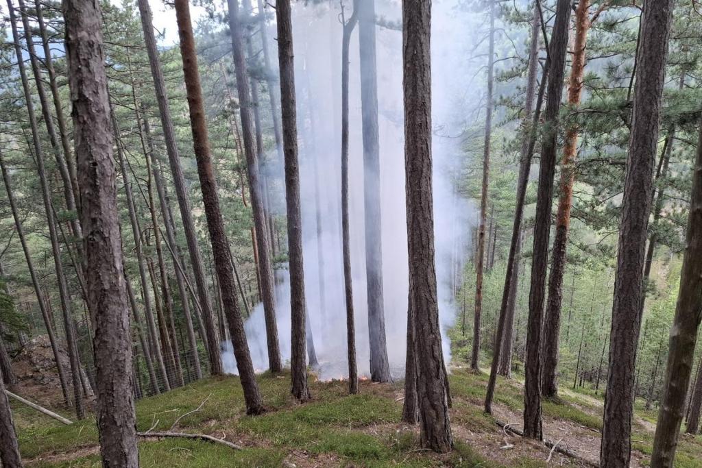 Weiterer Waldbrand in Gutenstein - Brand im Zellenbach 