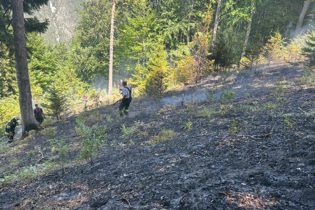Waldbrand in Wopfing
