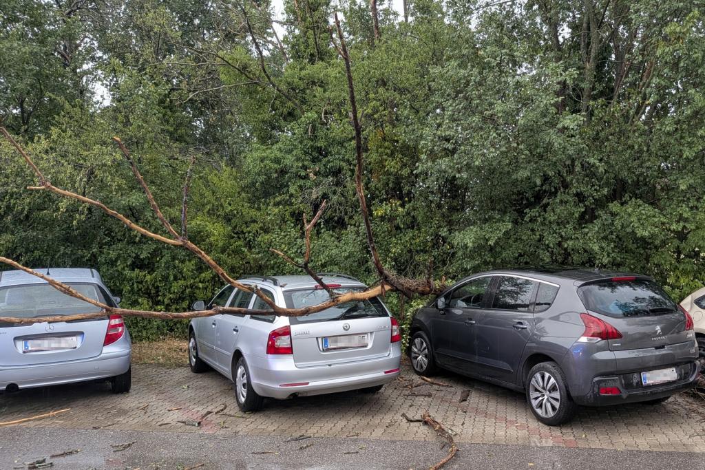 Unwetterschäden im Ortsgebiet Sollenau