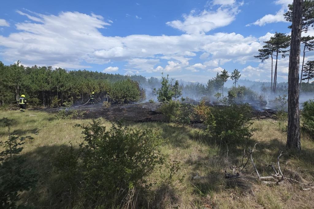 Waldbrand in Saubersdorf (Bezirk Neunkirchen) – Unterstützung durch die FF Weikersdorf und die FF Winzendorf