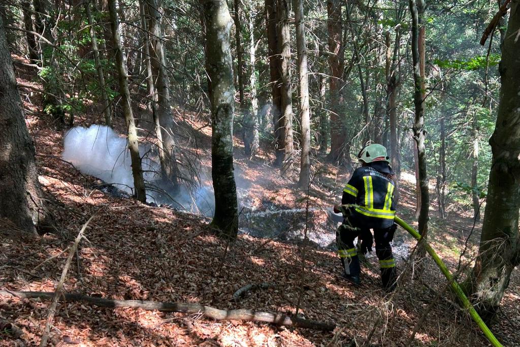 FF Waidmannsfeld – Miesenbach: „Mistkübelbrand“ zur Gauermannhütte