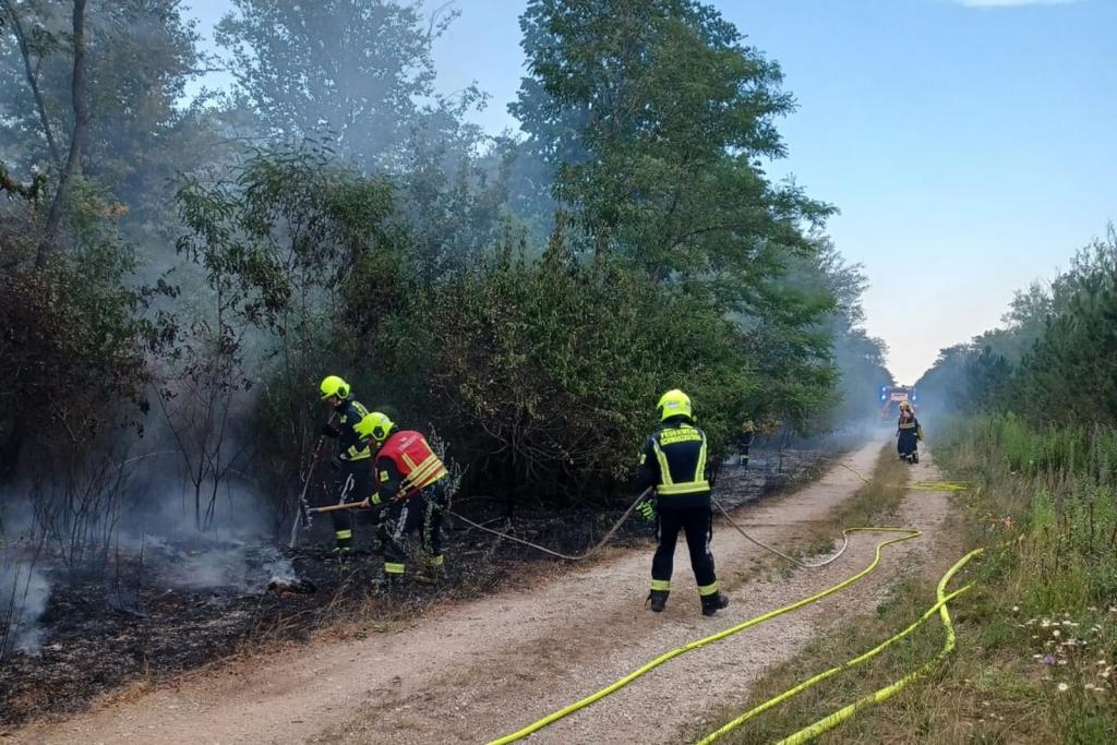 FF Wr. Neustadt: Waldbrand im Föhrenwald