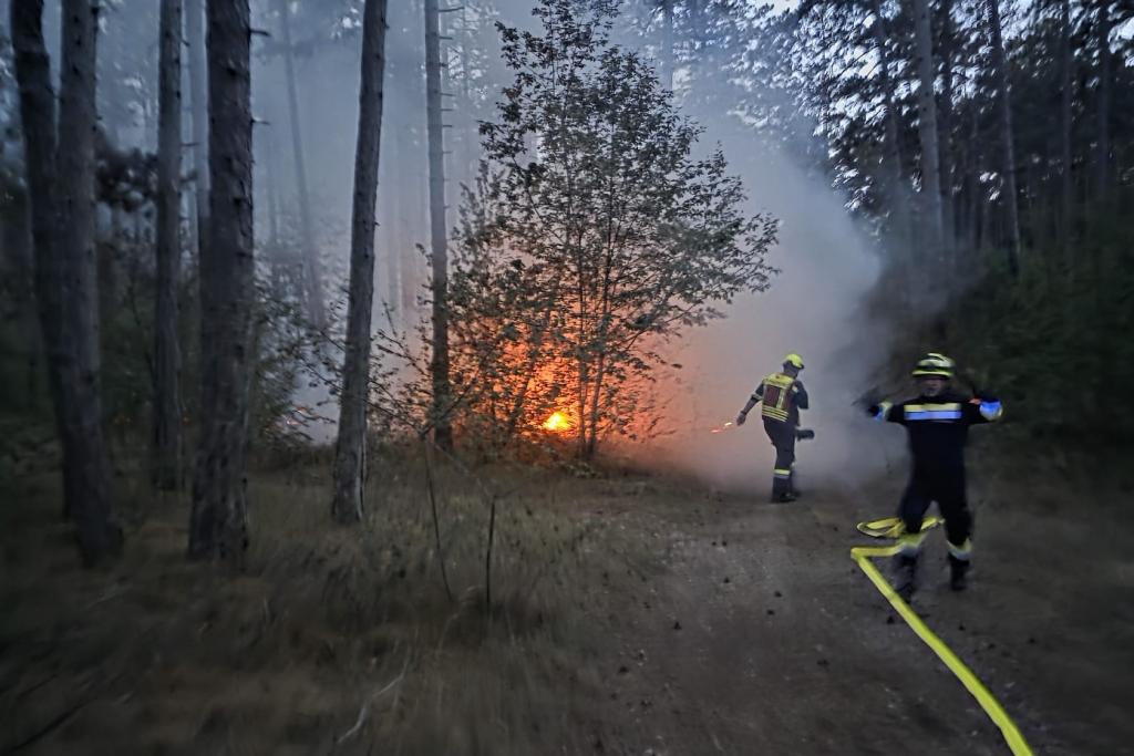 Vegetationsbrand in Weikersdorf