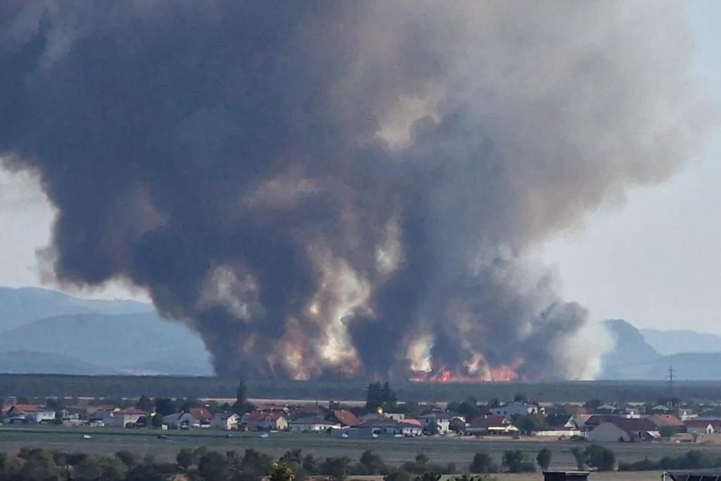 Waldbrand in St. Egyden am Steinfeld (NK) – Unterstützung durch Kräfte aus dem Bezirk Wiener Neustad